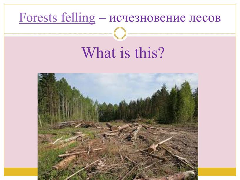 Forests felling – исчезновение лесов