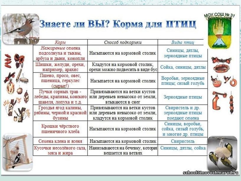 Презентация "Покорми птиц зимой"