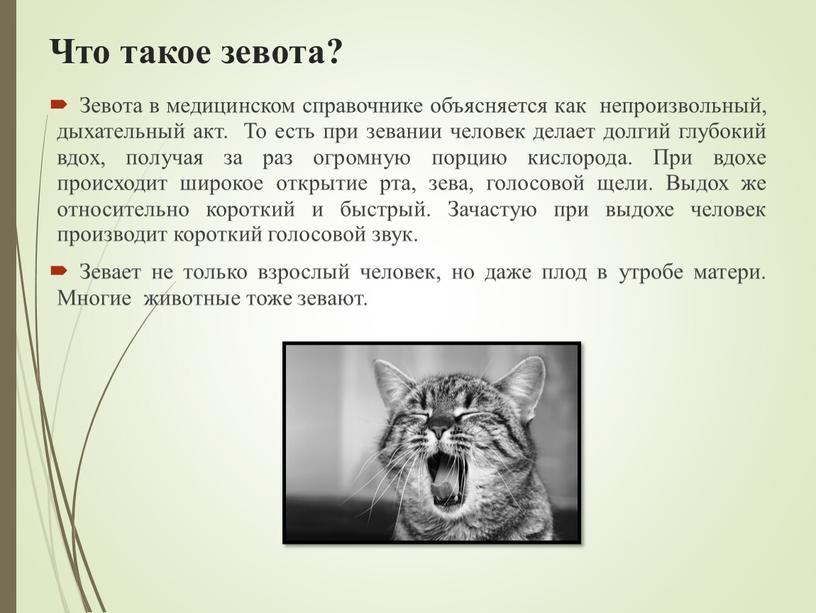 Что такое зевота? Зевота в медицинском справочнике объясняется как непроизвольный, дыхательный акт