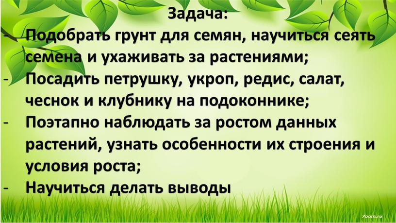 Задача: Подобрать грунт для семян, научиться сеять семена и ухаживать за растениями;