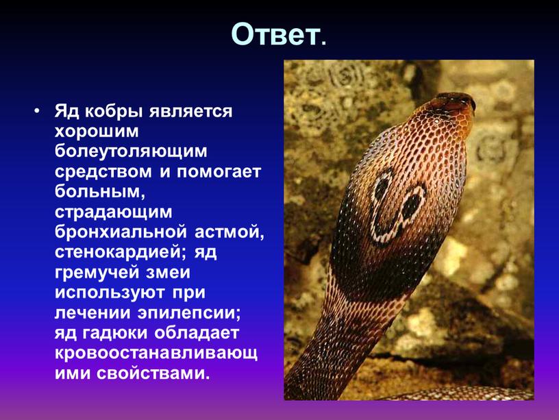 Ответ . Яд кобры является хорошим болеутоляющим средством и помогает больным, страдающим бронхиальной астмой, стенокардией; яд гремучей змеи используют при лечении эпилепсии; яд гадюки обладает…