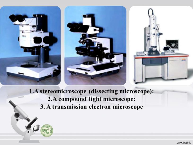 A stereomicroscope (dissecting microscope): 2