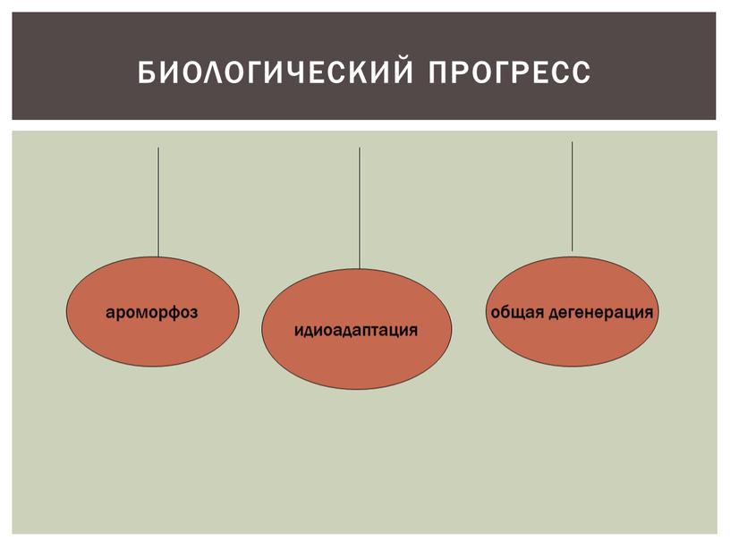 Биологический прогресс ароморфоз идиоадаптация общая дегенерация