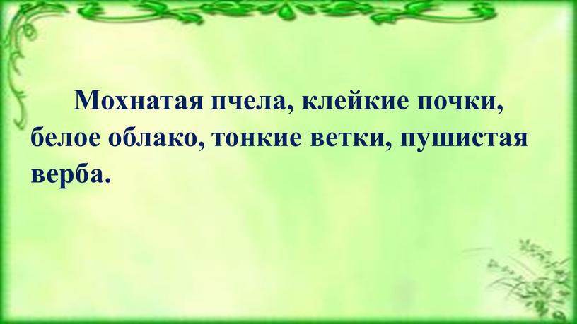 Мохнатая пчела, клейкие почки, белое облако, тонкие ветки, пушистая верба