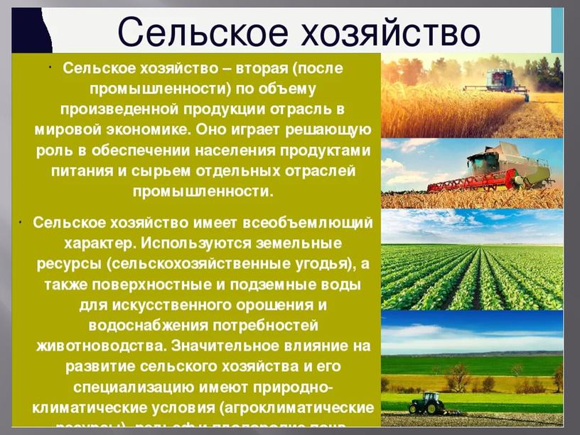 Презентация по Сельскохозяйственному труду:"Сельскохозяйственный труд и его значение" 5 класс.