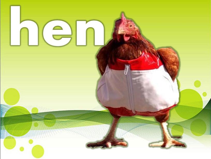 hen