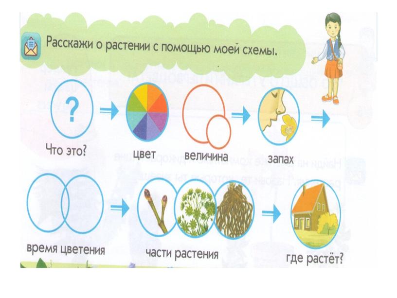 Назови органы чувств