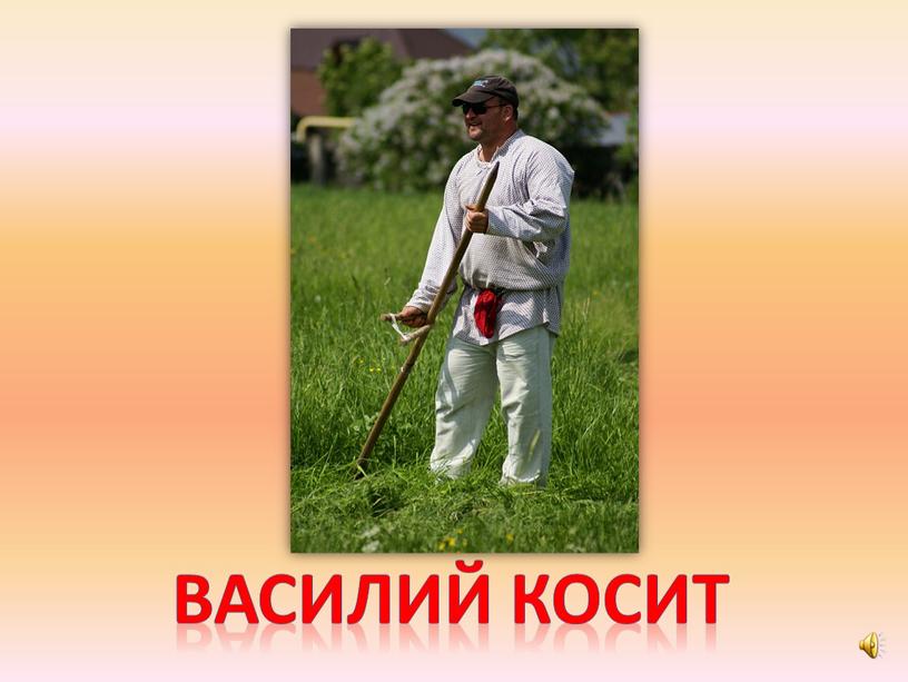 Василий косит