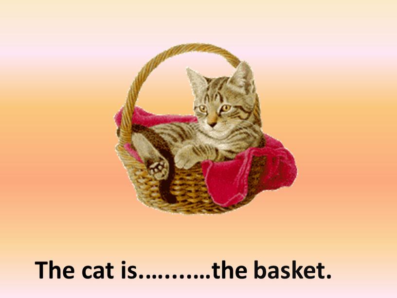 in The cat is.…....…the basket.