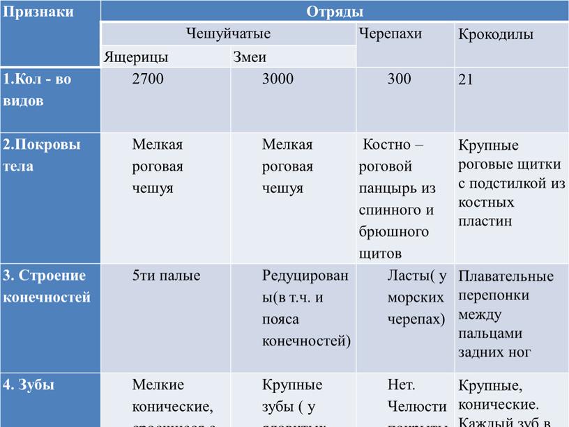 Признаки Отряды Чешуйчатые Черепахи