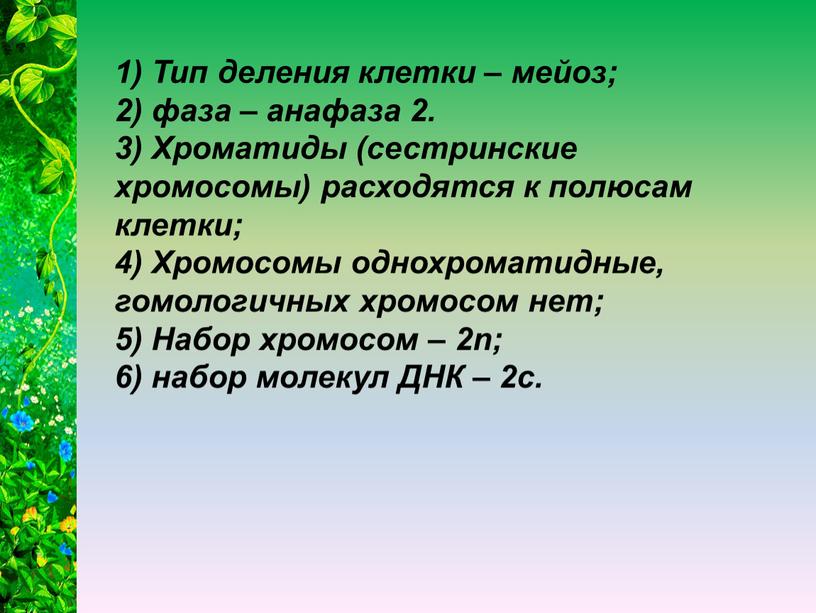 Тип деления клетки – мейоз; 2) фаза – анафаза 2