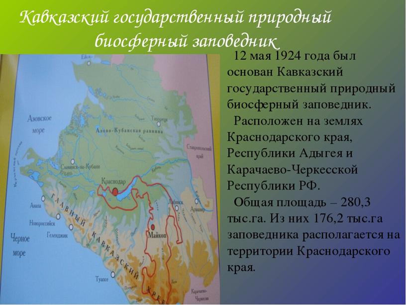 Пернатые жители Кавказа
