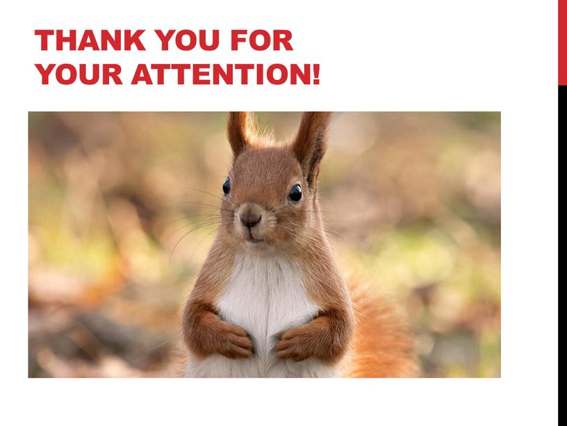 Thank you for your attention!