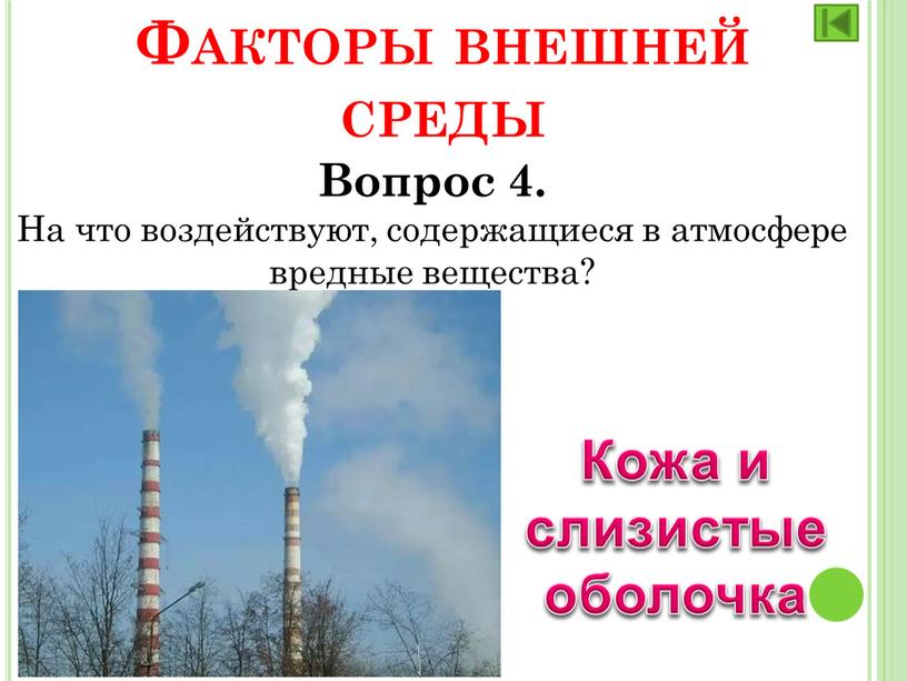 Вопрос 4. На что воздействуют, содержащиеся в атмосфере вредные вещества?