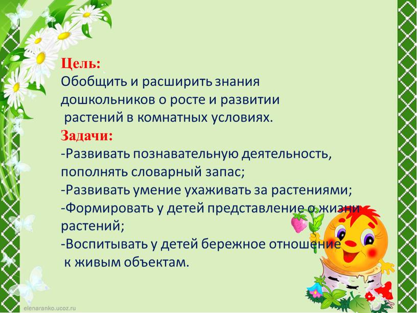 Цель: Обобщить и расширить знания дошкольников о росте и развитии растений в комнатных условиях