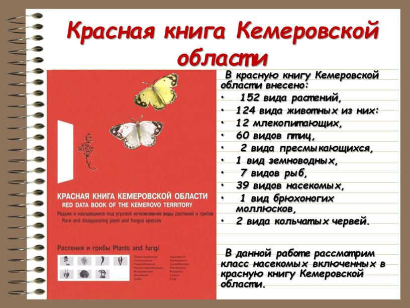 Красная книга Кемеровской области