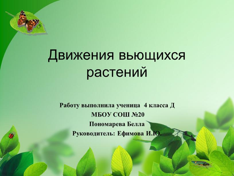 Движения вьющихся растений Работу выполнила ученица 4 класса