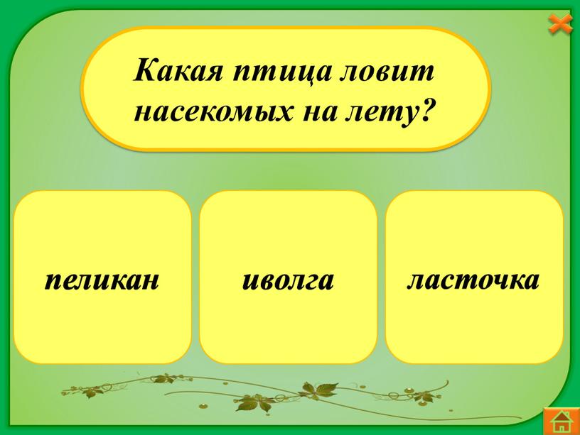 Какая птица ловит насекомых на лету? иволга пеликан