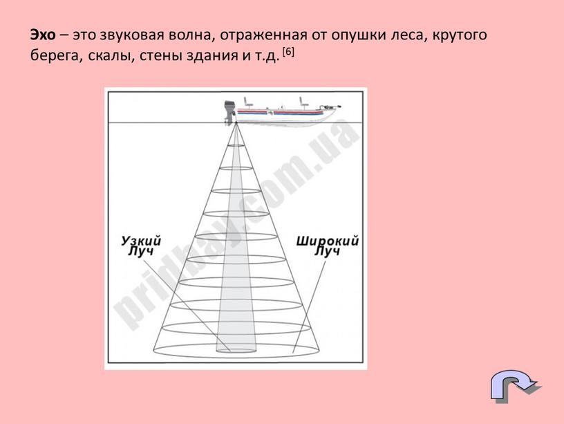 Эхо – это звуковая волна, отраженная от опушки леса, крутого берега, скалы, стены здания и т