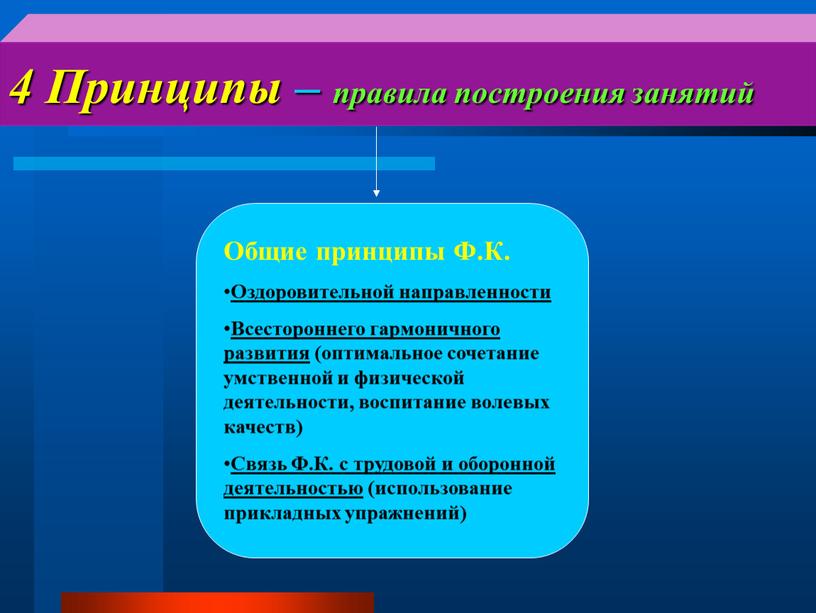 Принципы – правила построения занятий