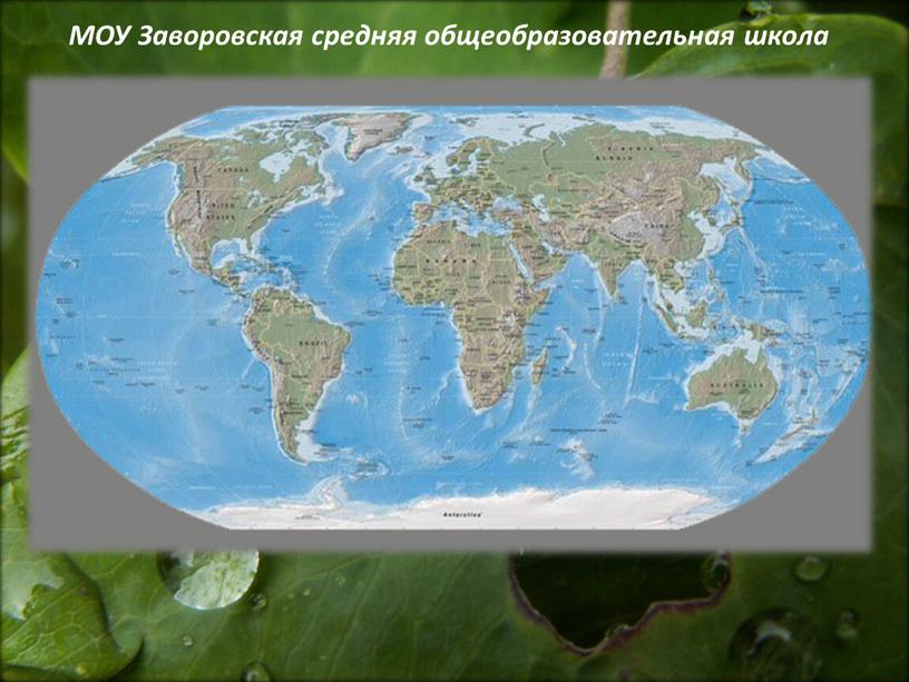 МОУ Заворовская средняя общеобразовательная школа
