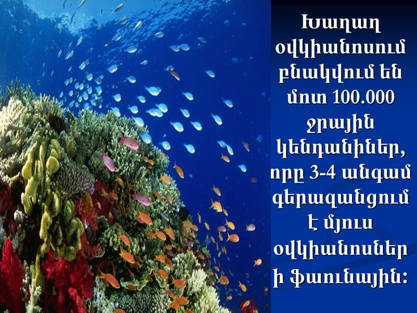 Խաղաղ օվկիանոսում բնակվում են մոտ 100.000 ջրային կենդանիներ, որը 3-4 անգամ գերազանցում է մյուս օվկիանոսների ֆաունային: