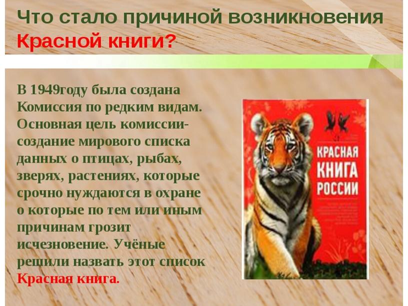 Презентация "Животные Красной книги Новосибирской области"