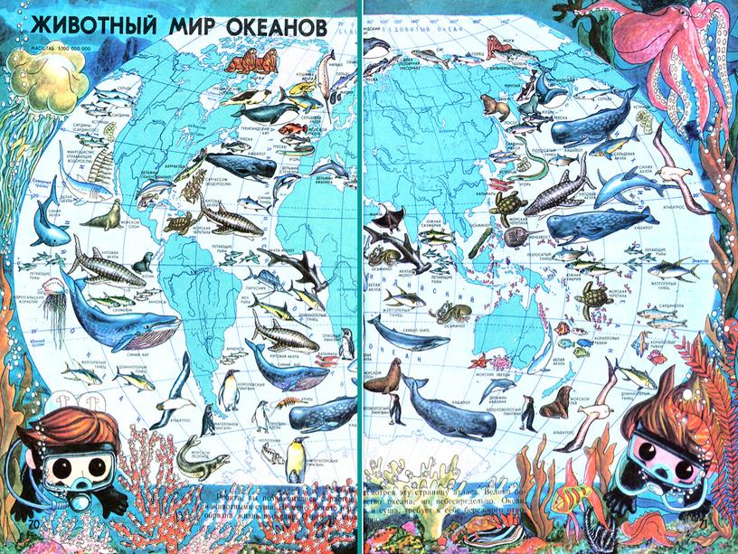 Урок окружающего мира "Мировой океан" 2 класс