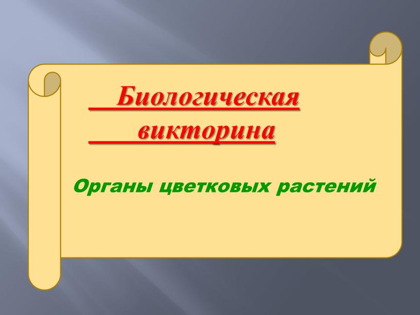 Органы цветковых растений Биологическая викторина