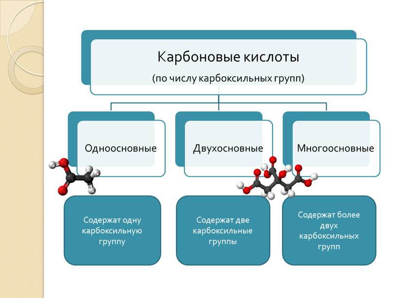 Содержат одну карбоксильную группу