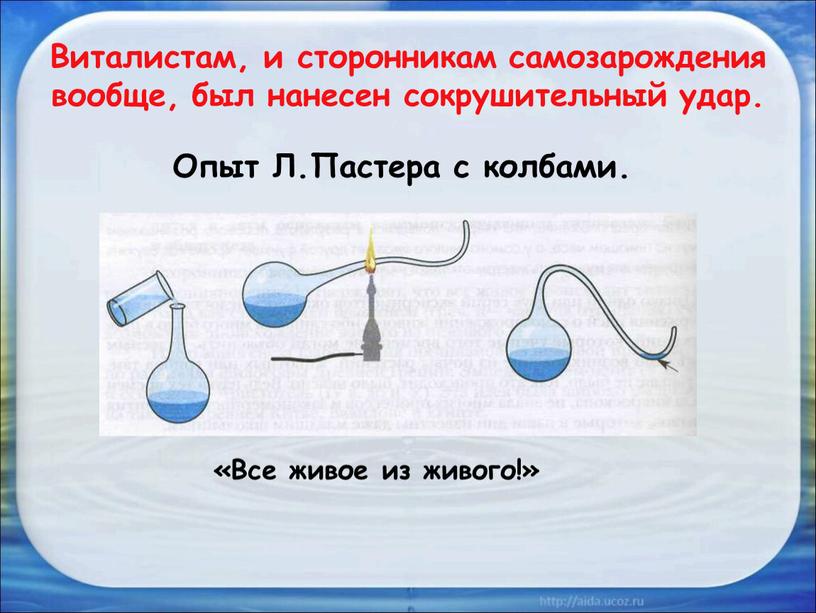 Виталистам, и сторонникам самозарождения вообще, был нанесен сокрушительный удар