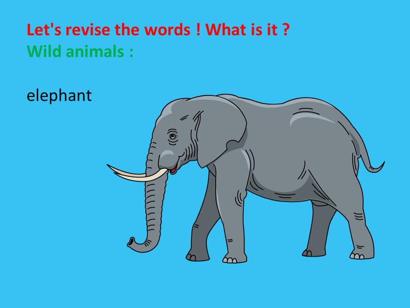 Let's revise the words ! What is it ?