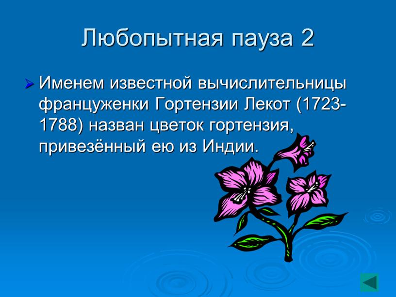 Любопытная пауза 2 Именем известной вычислительницы француженки