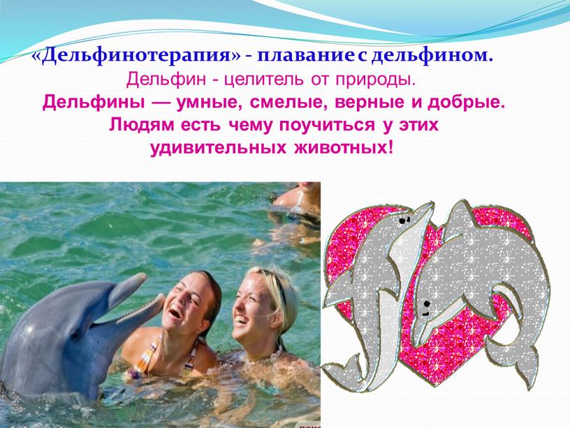 Дельфинотерапия» - плавание с дельфином