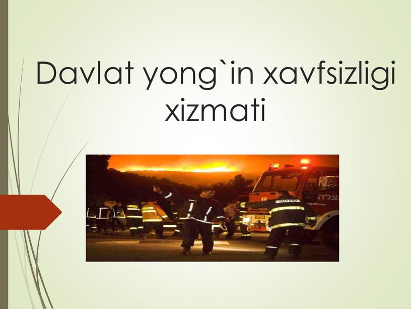 Davlat yong`in xavfsizligi xizmati