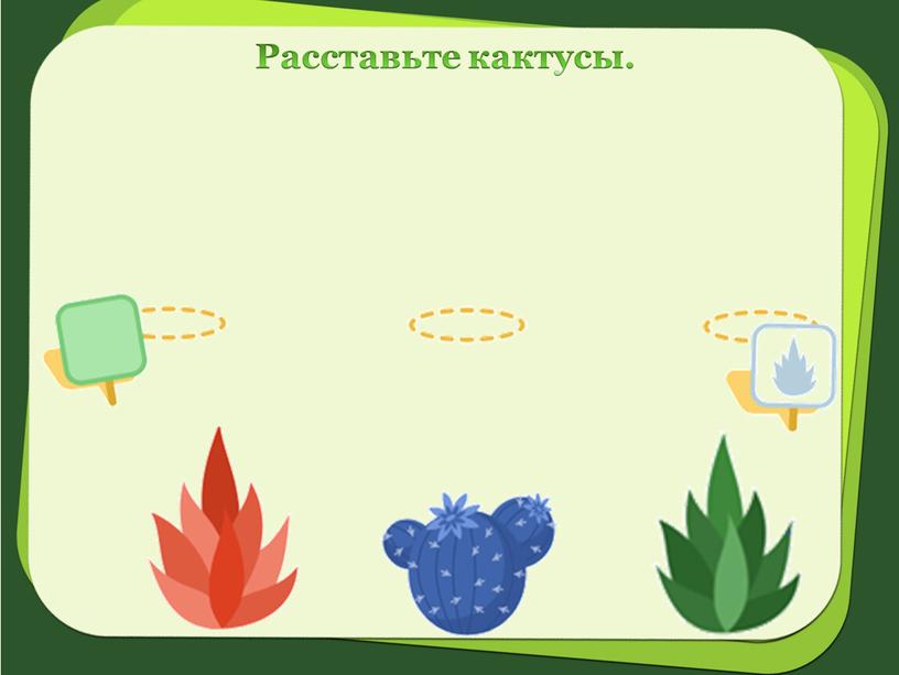 Расставьте кактусы.