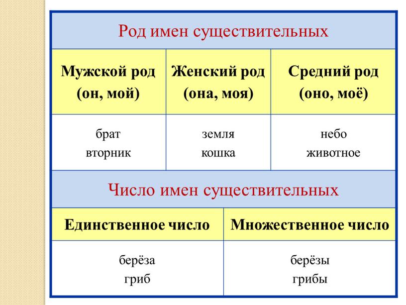 Род имен существительных Мужской род (он, мой)