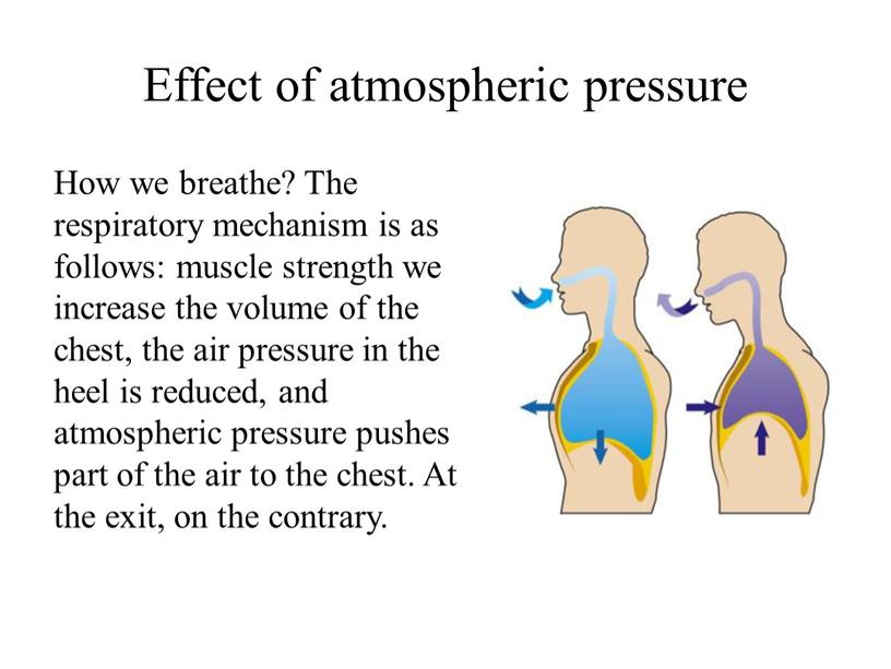 How we breathe? The respiratory mechanism is as follows: muscle strength we increase the volume of the chest, the air pressure in the heel is…