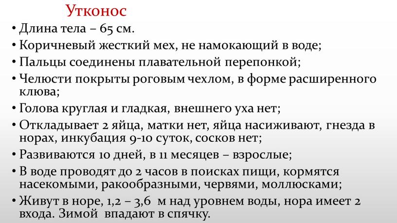 Утконос Длина тела – 65 см. Коричневый жесткий мех, не намокающий в воде;