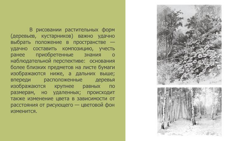 В рисовании растительных форм (деревьев, кустарников) важно удачно выбрать положение в пространстве — удачно составить композицию, учесть ранее приобретенные знания о наблюдательной перспективе: основания более…