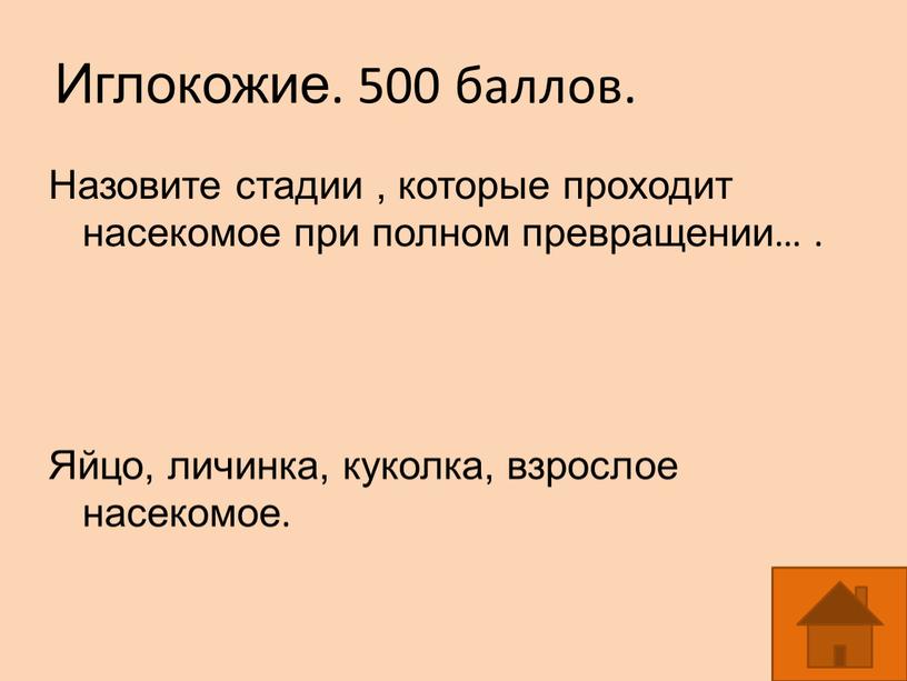 Иглокожие. 500 баллов. Назовите стадии , которые проходит насекомое при полном превращении…