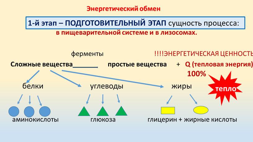 Энергетический обмен 1-й этап –