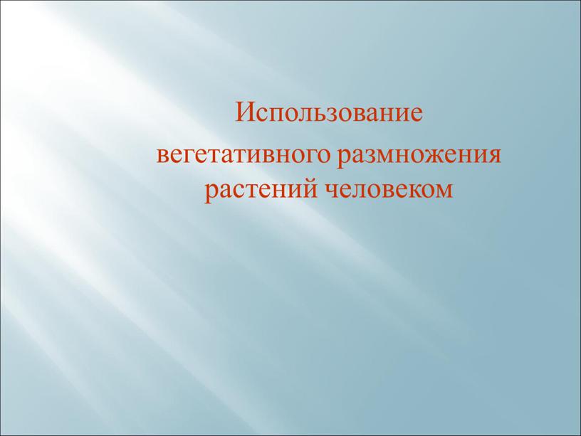 Использование вегетативного размножения растений человеком