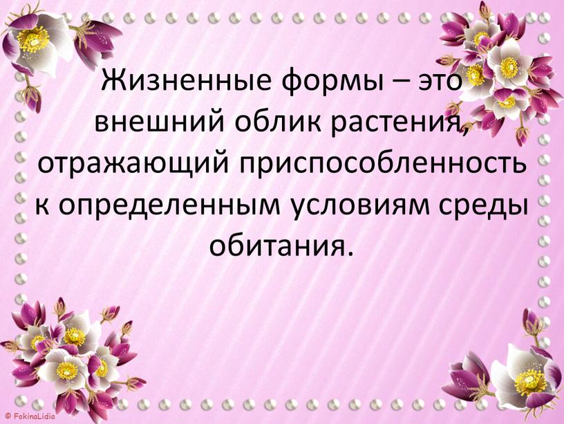 Жизненные формы – это внешний облик растения, отражающий приспособленность к определенным условиям среды обитания