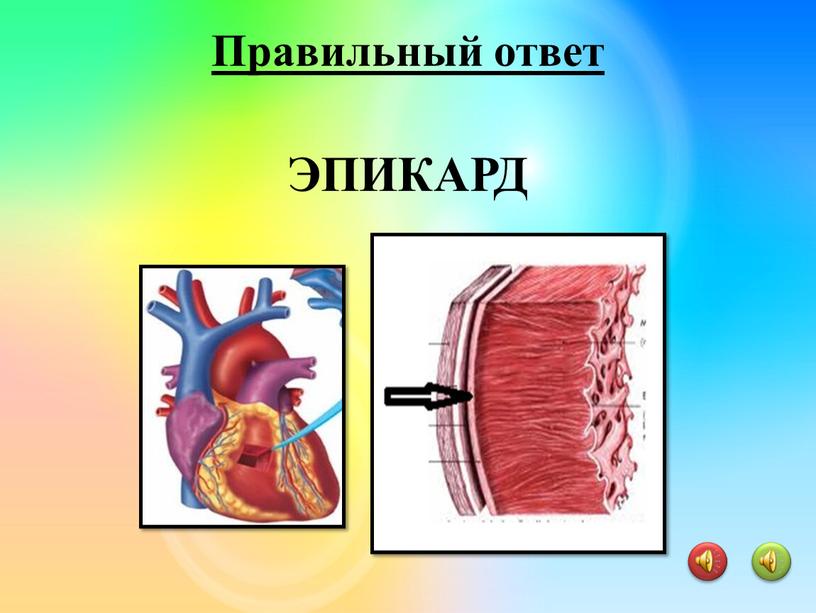 ЭПИКАРД Правильный ответ