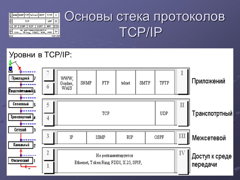 Основы стека протоколов TCP/IP