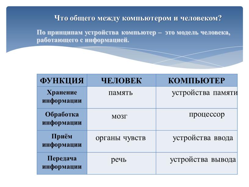 Что общего между компьютером и человеком?