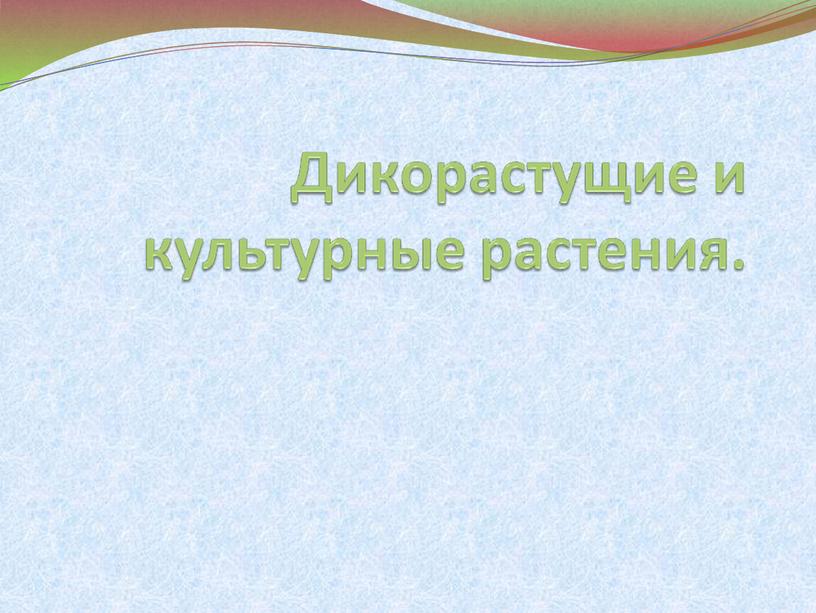 Презентация по окружающему миру "Дикорастущие и культурные растения".