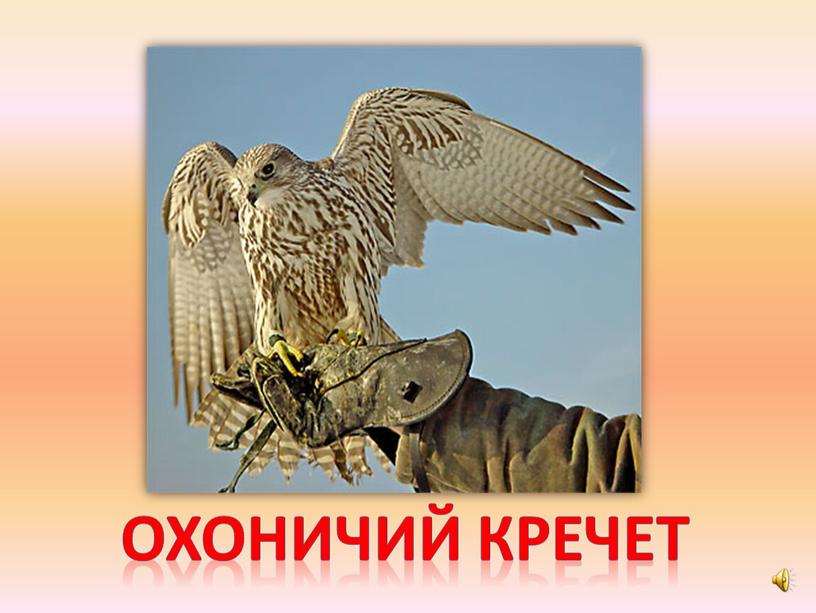 Охоничий кречет