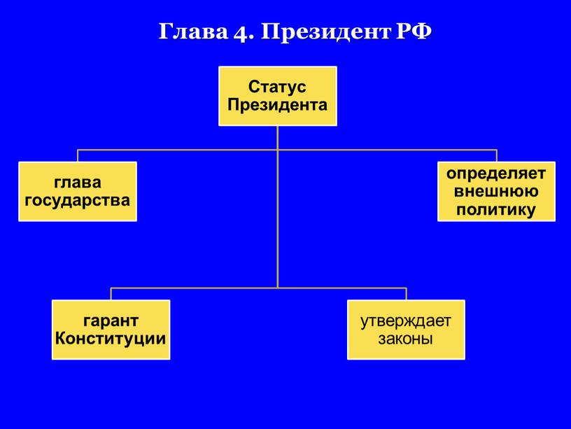 Глава 4. Президент РФ